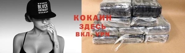 крисы Осинники
