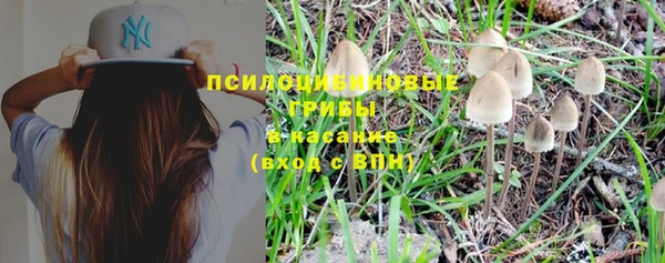 кокс Пенза