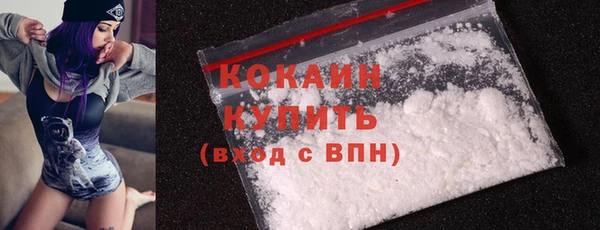 крисы Осинники