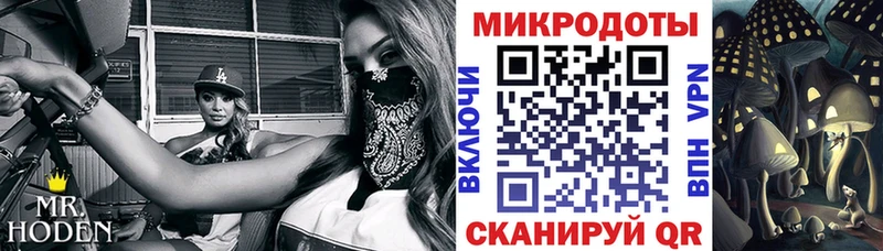 купить   Ногинск  Псилоцибиновые грибы мицелий 