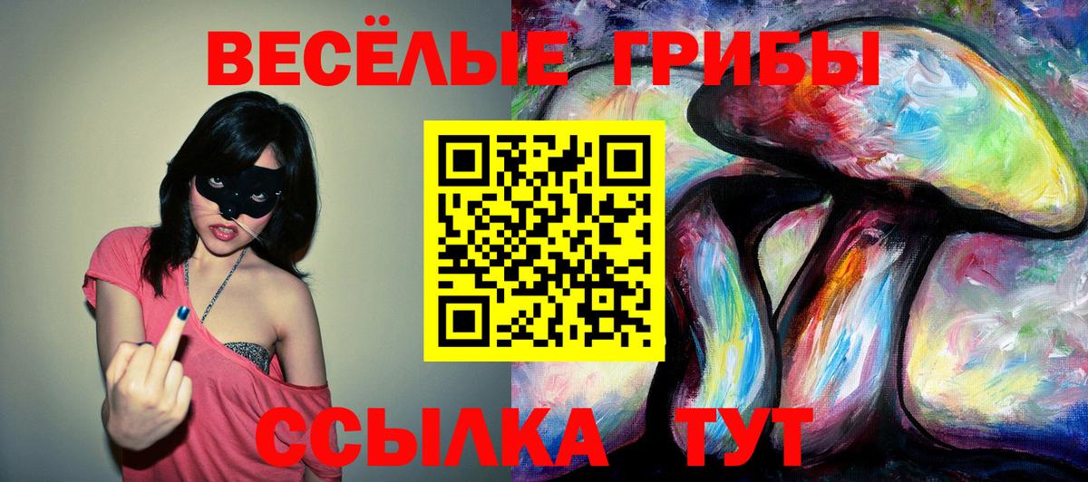 Галлюциногенные грибы Psilocybine cubensis  Ногинск 