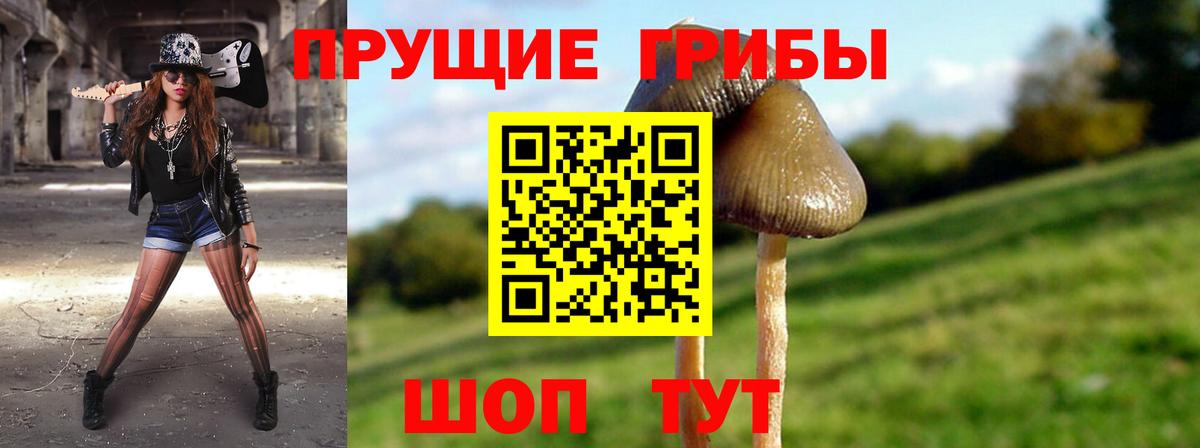Псилоцибиновые грибы прущие грибы  Галлюциногенные грибы Cubensis  Вход с VPN  Ногинск 