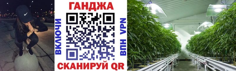 купить наркотики цена  Ногинск  Марихуана SATIVA & INDICA 